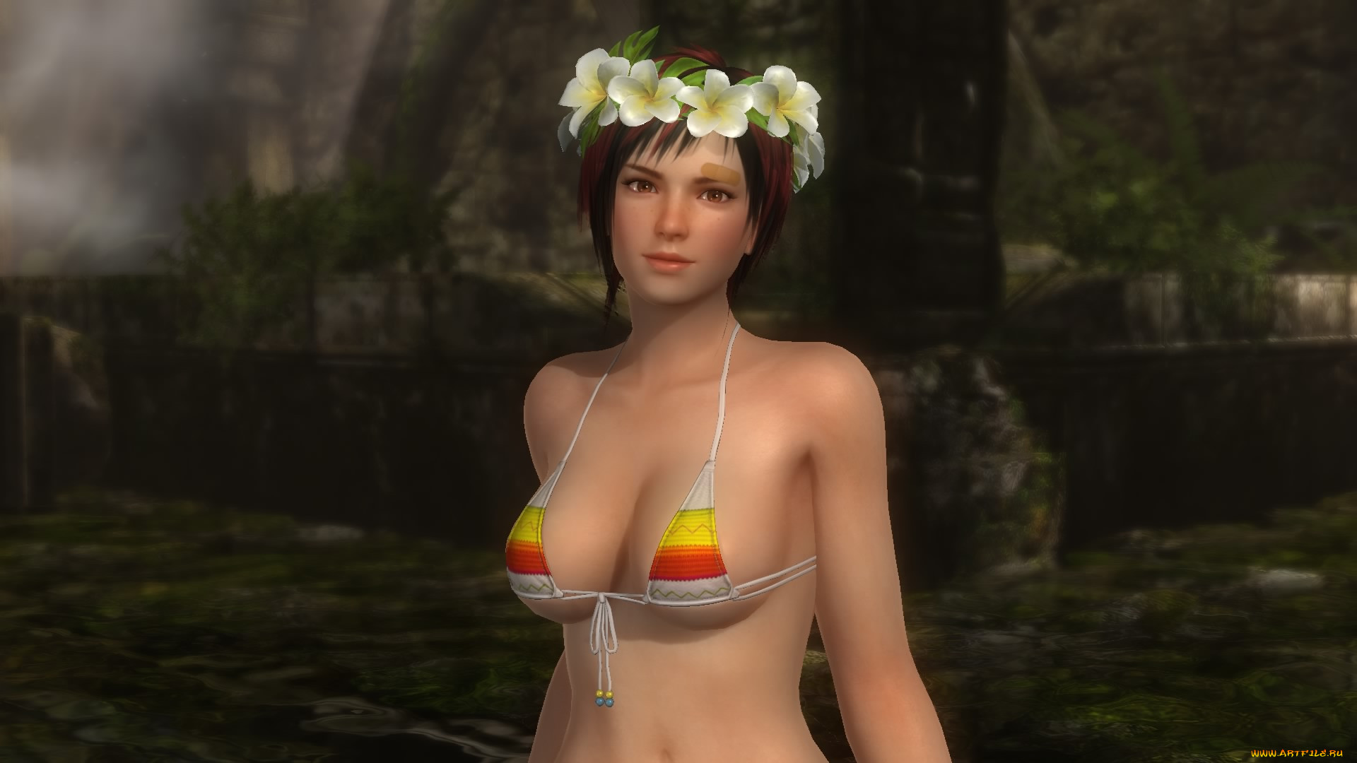  , dead or alive 5, 